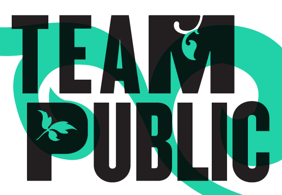 Team Public